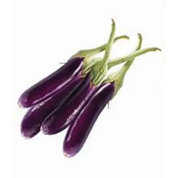 brinjal-05-5435426-50081.webp