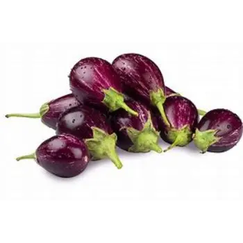 brinjal-07-2188540-23902.webp