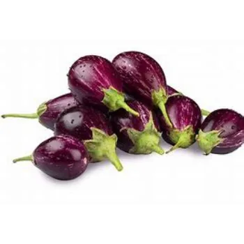 brinjal-09-4565638-44033.webp