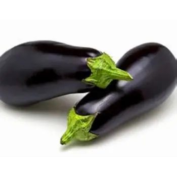 brinjal-09-5195136-48875.webp