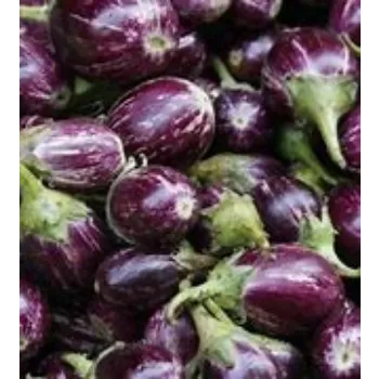 brinjal-10-4227774-47599.webp
