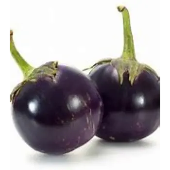 brinjal-10-9933425-49328.webp