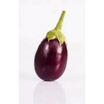 brinjal-12-1134145-32950.webp
