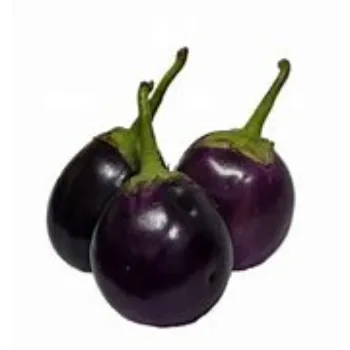 brinjal-19-5951846-31935.webp