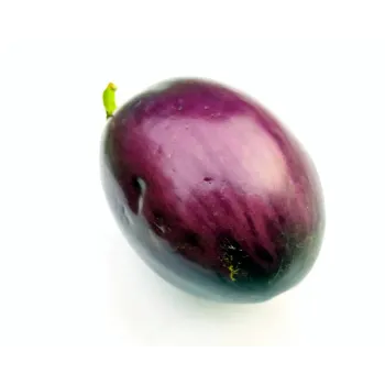 brinjal-19-8533628-88236.webp