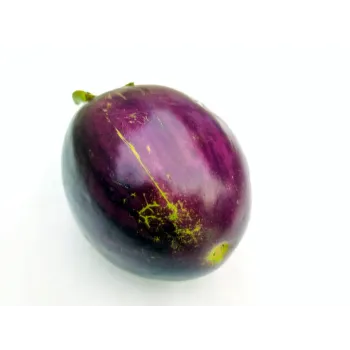 brinjal-21-8979689-96784.webp