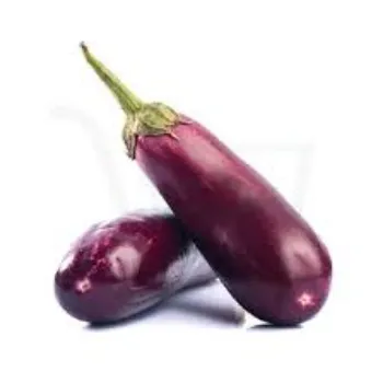 brinjal02-1142174-32132.webp