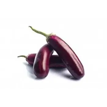 brinjal03-8623051-76369.webp