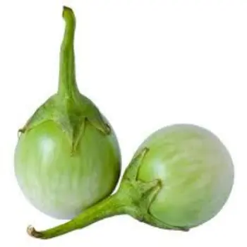 brinjal04-6201530-52620.webp