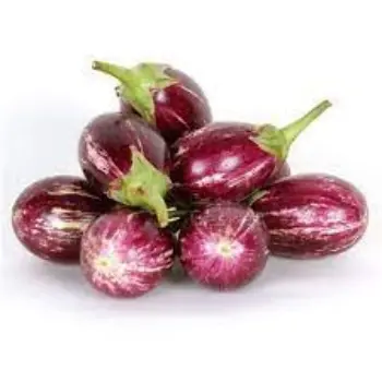 brinjal05-413733-35935.webp