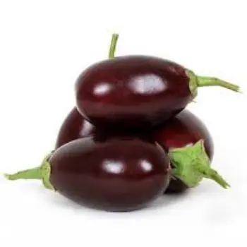 brinjal06-1392168-97733.webp