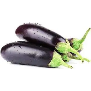 brinjal06-5474287-30586.webp