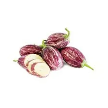 brinjal07-5205512-42407.webp