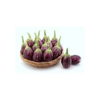 brinjal09-3467742-66667.webp