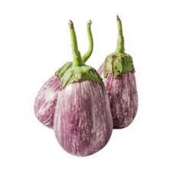 brinjal09-5778257-80351.webp