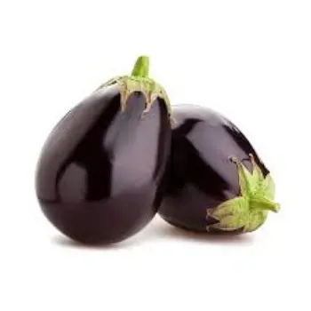 brinjal10-1865214-29490.webp