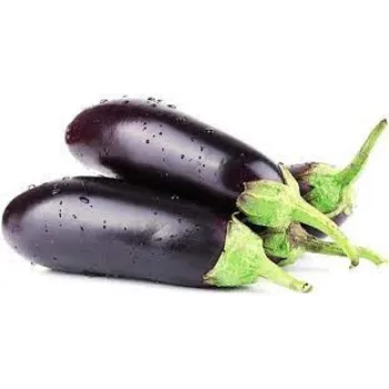 brinjal10-3146855-40964.webp