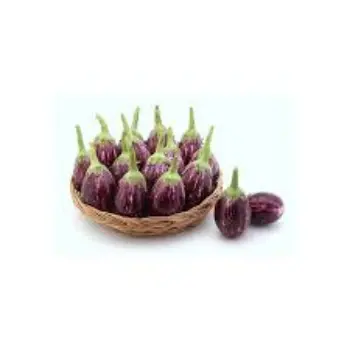 brinjal12-4981327-85284.webp