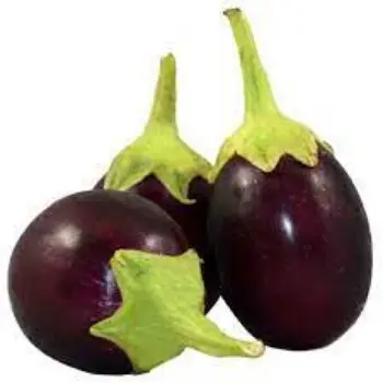 brinjal13-1064936-91513.webp
