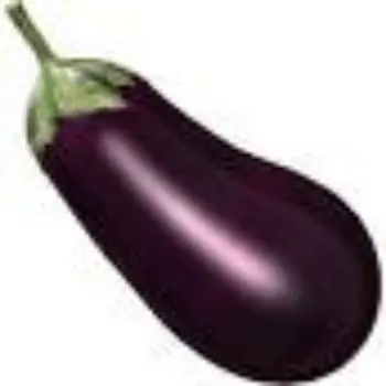 brinjal13-4425190-88059.webp