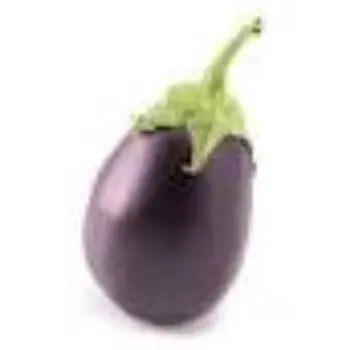 brinjal15-6396665-55291.webp