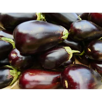 brinjals-8-562961-90200.webp