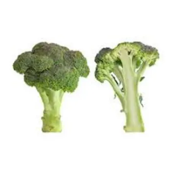 Frozen Broccoli broc-oli6-6697613-79097.webp