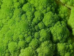 Frozen Broccoli broc4-7408380-43263.jpg