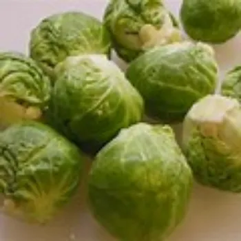cabbage-01-2178951-96353.webp