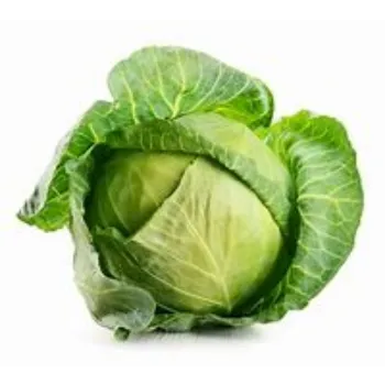 cabbage-03-9351003-30338.webp