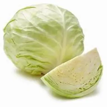 cabbage-05-5892237-22313.webp