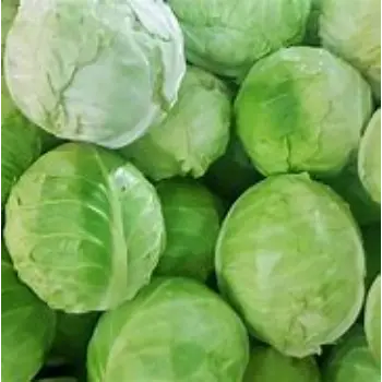 cabbage-09-2093938-94406.webp