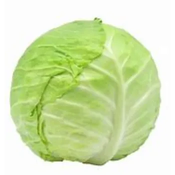 cabbage-09-4720755-20886.webp