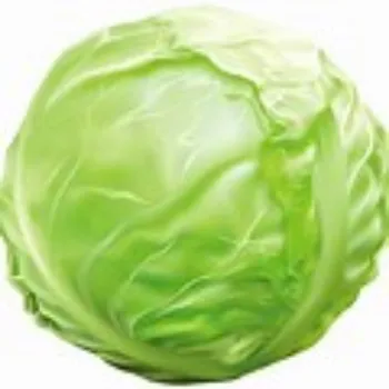 cabbage-10-4770870-13712.webp