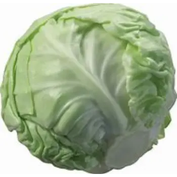 cabbage-10-8056330-93020.webp