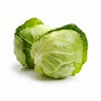 cabbage-12-9818232-72101.webp
