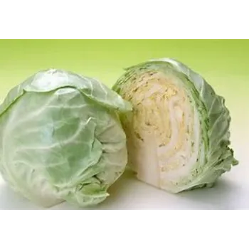 cabbage-15-6047378-82722.webp