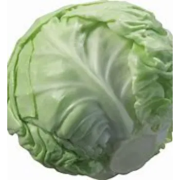 cabbage-17-9651269-39075.webp
