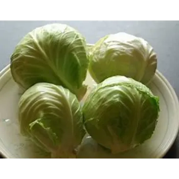 cabbage-18-321547-64577.webp