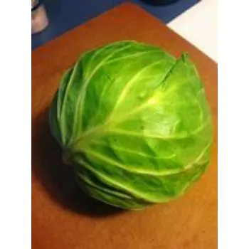 cabbage-20-4386625-26386.webp