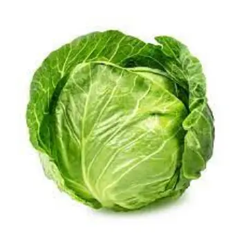 cabbage01-5721983-76129.webp