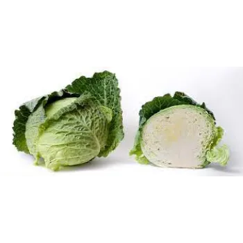 cabbage01-7552543-26617.webp