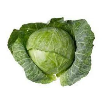 cabbage02-4673545-29866.webp