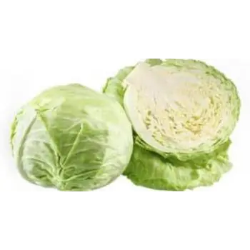 cabbage04-5651219-14118.webp