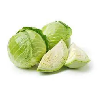 cabbage05-9696238-1417.webp