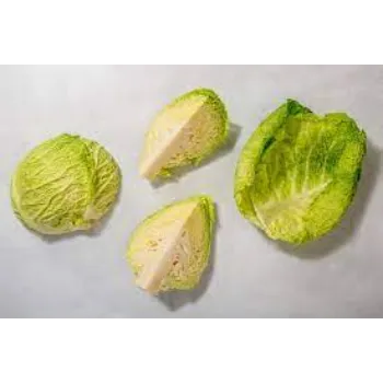 cabbage06-5479344-85199.webp