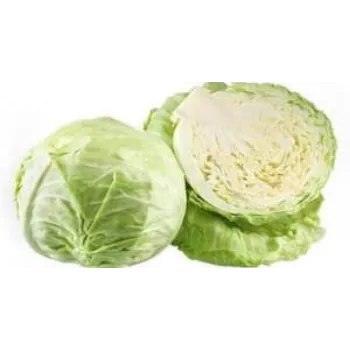 cabbage07-3405357-86762.webp