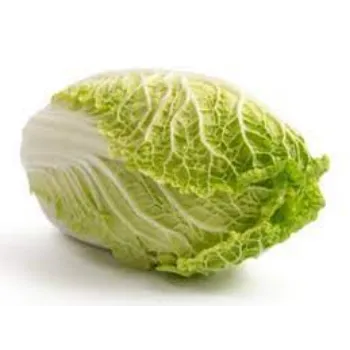 cabbage08-8106132-24125.webp