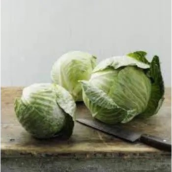 cabbage08-9770740-80312.webp