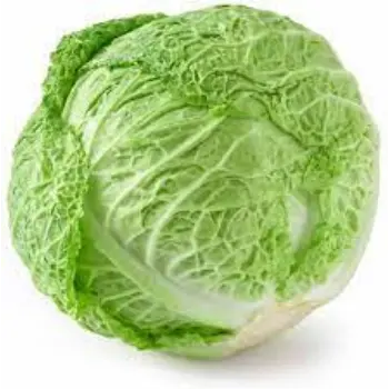 cabbage09-5793531-77562.webp
